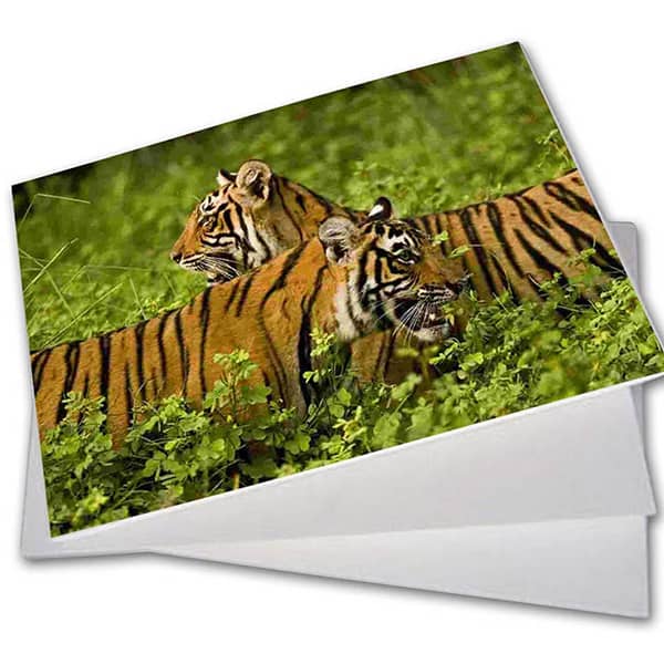shivanienterprises.com
